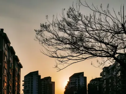 MegaReel Casino Mobilapp